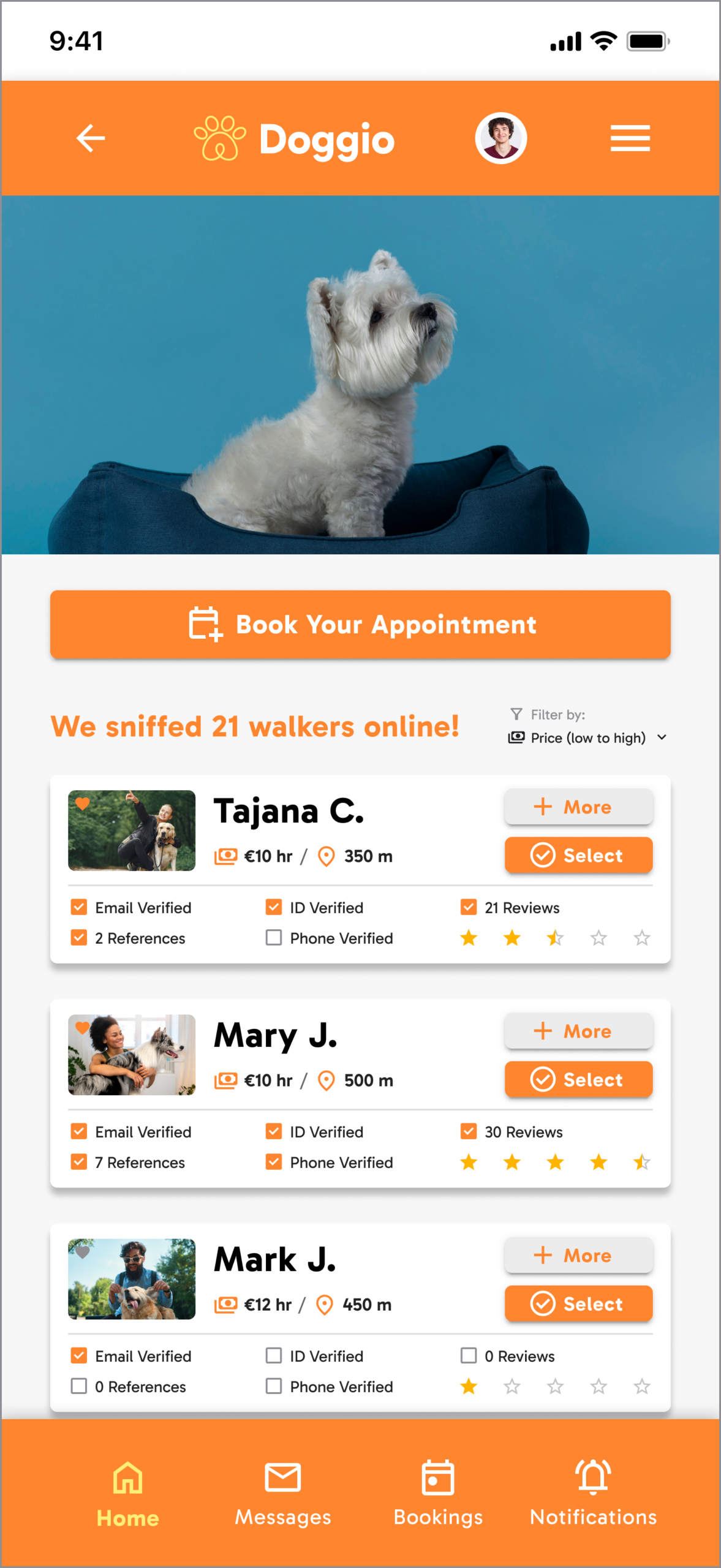 Doggio — Search Walkers Wireframe